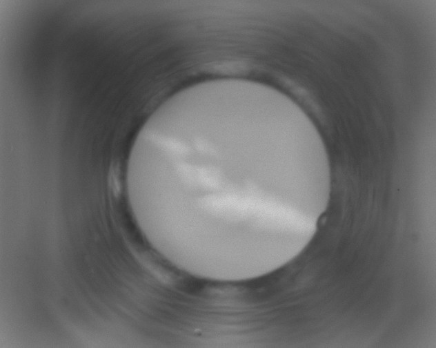 X0000081300069200702082055