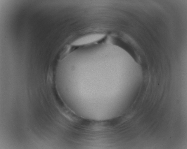 X0000081300072200702082055