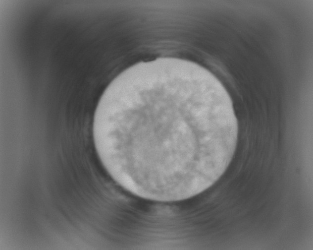 X0000081300073200702082055