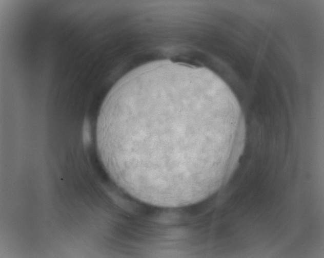 X0000081300075200702082055