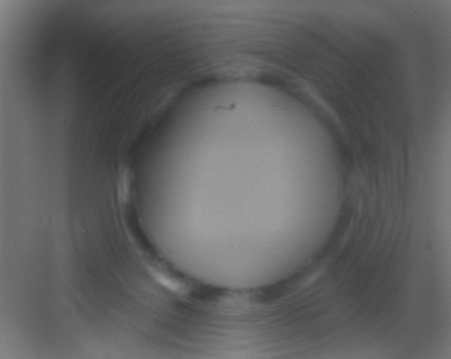 X0000081300076200702082055