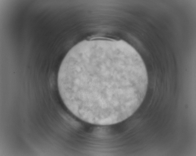 X0000081300077200702082055