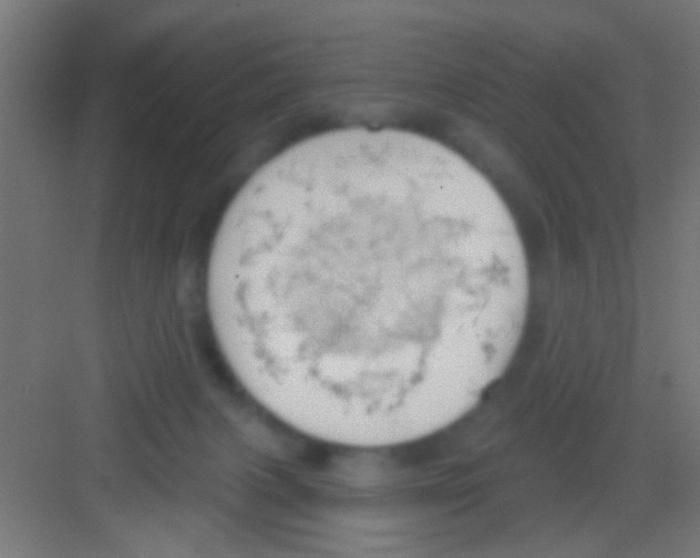 X0000081300079200702082055