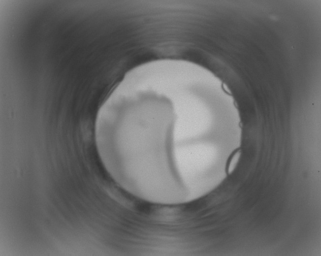 X0000081300081200702082055