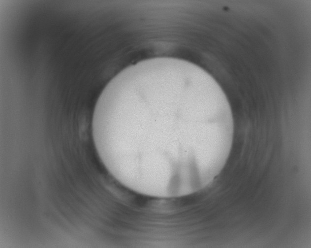 X0000081300082200702082055