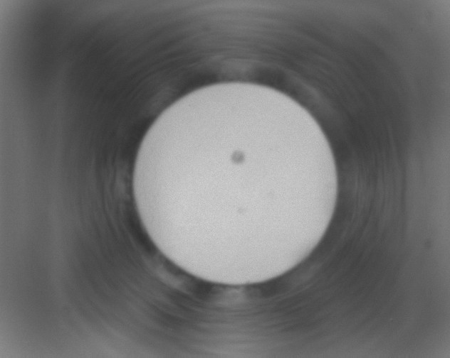 X0000081300083200702082055