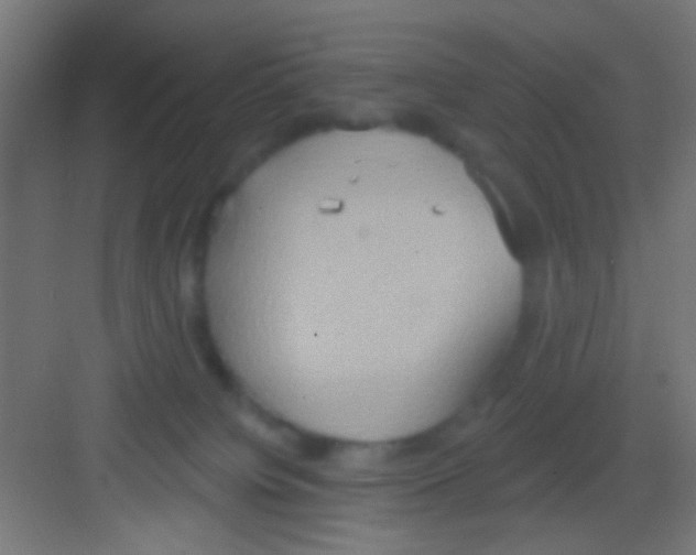 X0000081300084200702082055