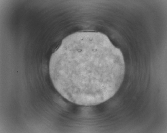 X0000081300085200702082055