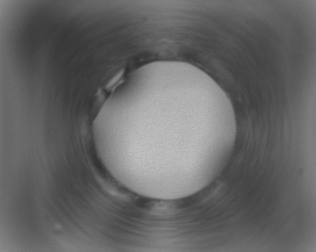 X0000081300088200702082055