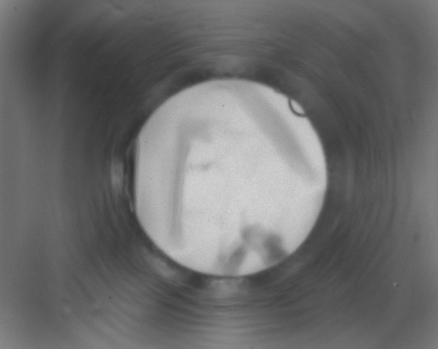 X0000081300089200702082055