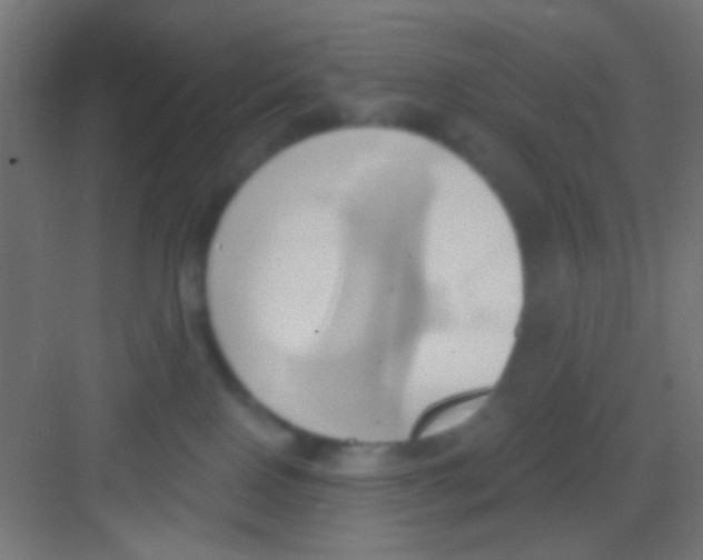 X0000081300090200702082055