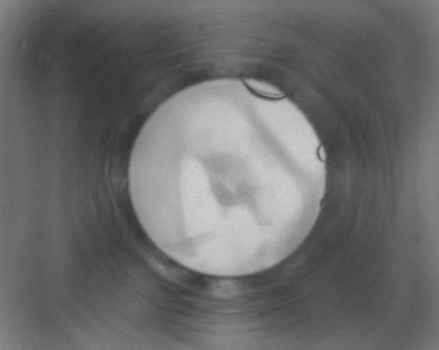 X0000081300091200702082055