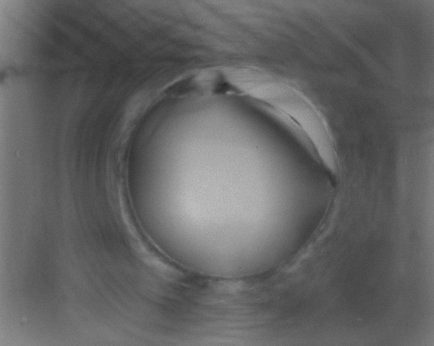 X0000081300097200702082055