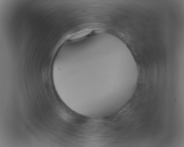 X0000081300099200702082055