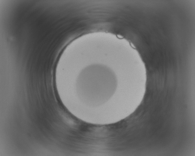 X0000081300100200702082055