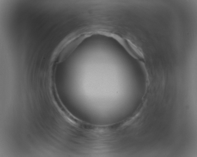 X0000081300101200702082055