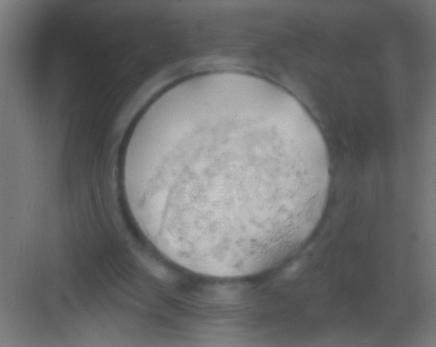 X0000081300103200702082055