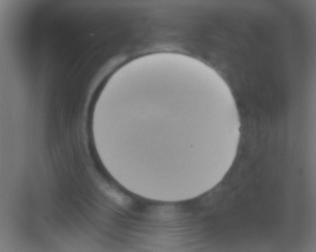 X0000081300104200702082055