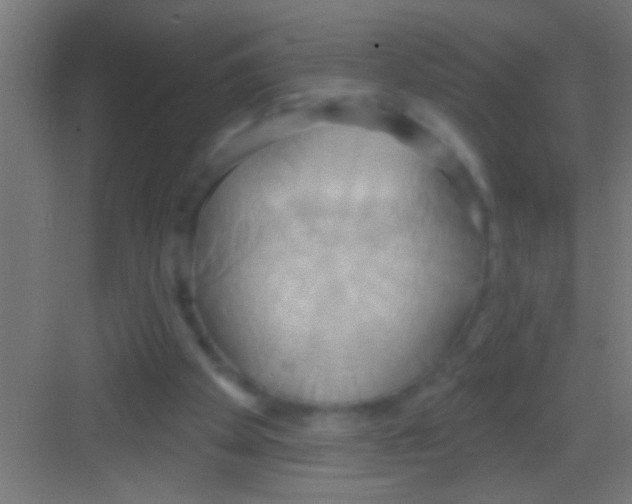 X0000081300105200702082055