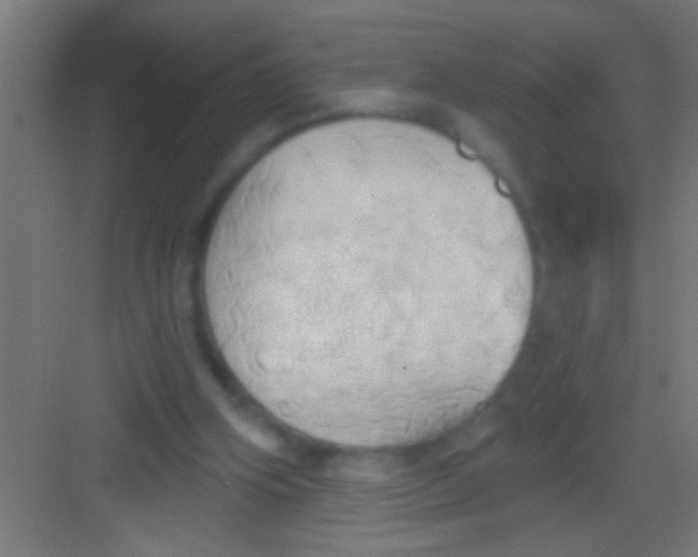 X0000081300106200702082054