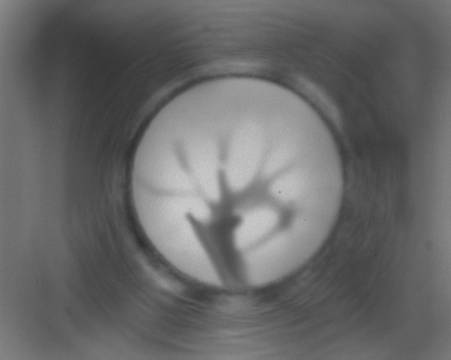 X0000081300107200702082054