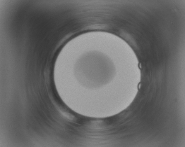 X0000081300108200702082054