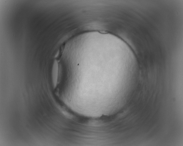 X0000081300109200702082054