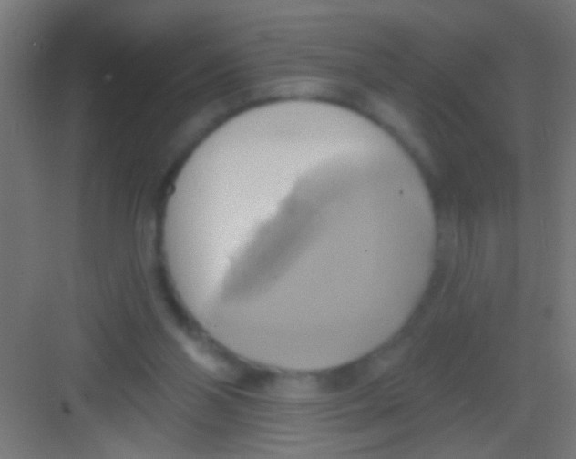 X0000081300110200702082054