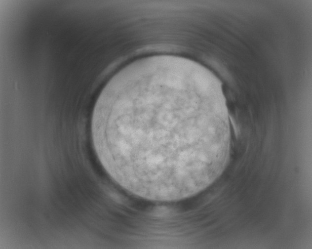 X0000081300111200702082054