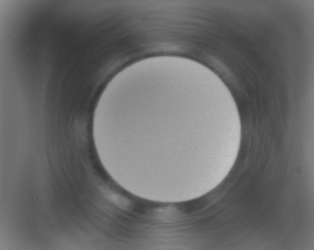 X0000081300112200702082054