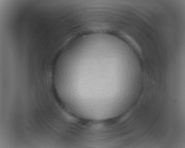 X0000081300113200702082054