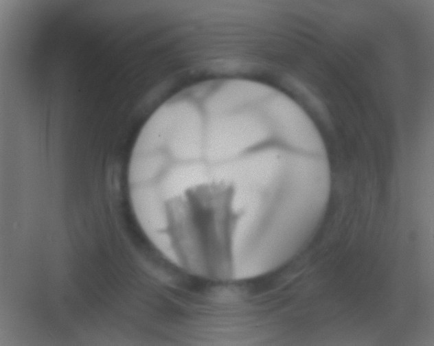 X0000081300115200702082054