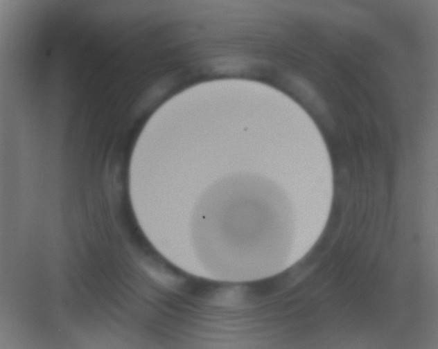 X0000081300116200702082054