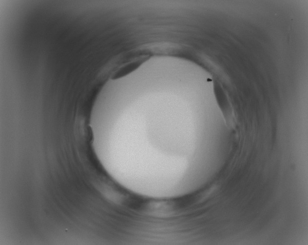 X0000081300117200702082054