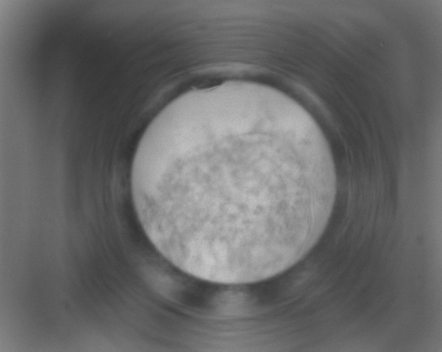 X0000081300119200702082054