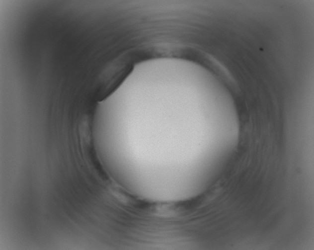 X0000081300121200702082054