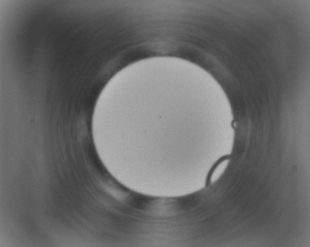 X0000081300128200702082054