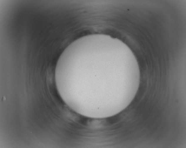 X0000081300129200702082054