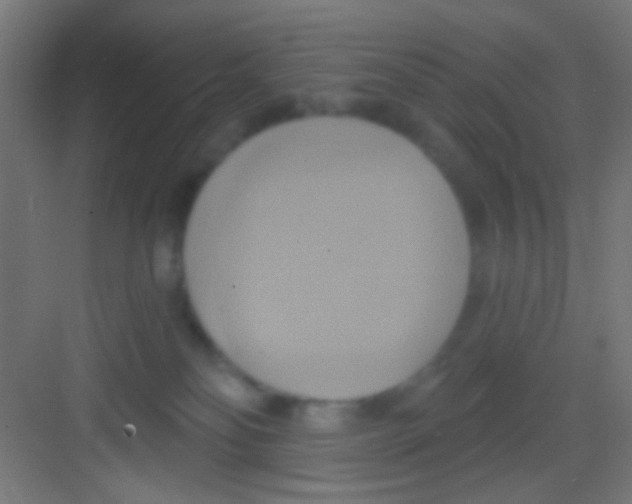 X0000081300134200702082054