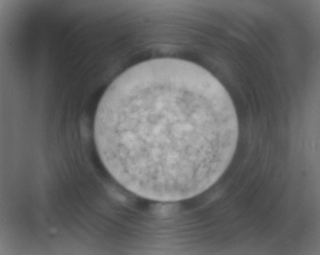 X0000081300135200702082054