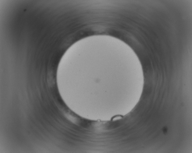 X0000081300136200702082054