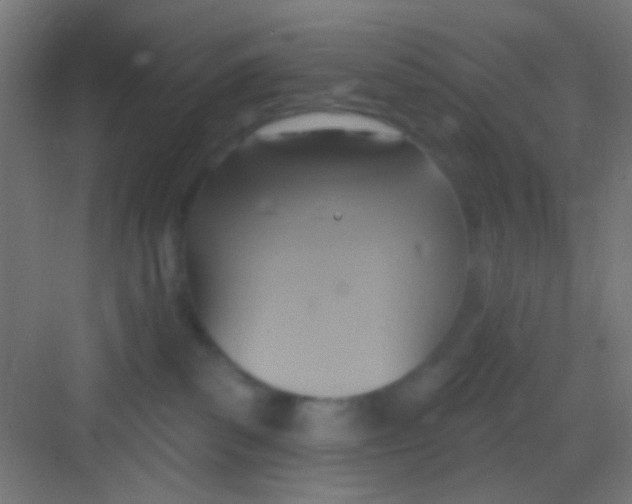 X0000081300139200702082054