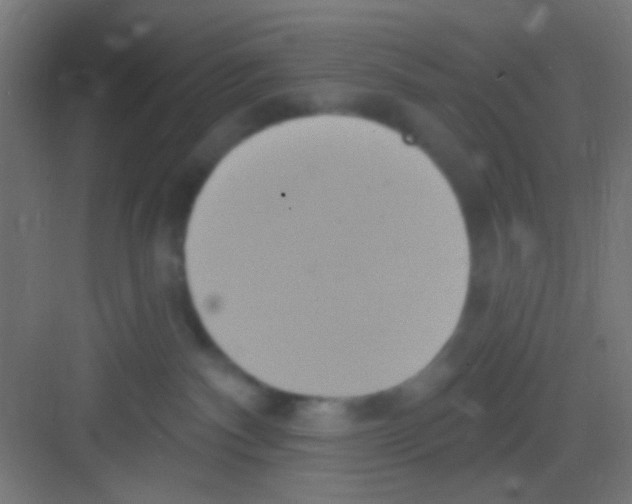 X0000081300140200702082054