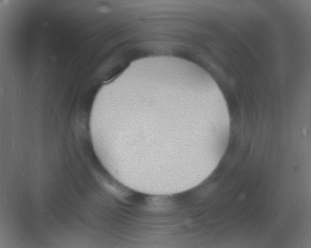 X0000081300141200702082054