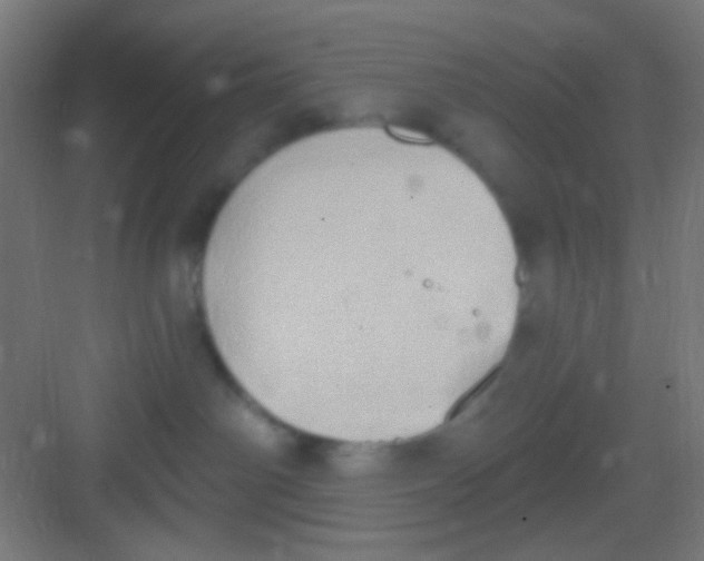 X0000081300142200702082054