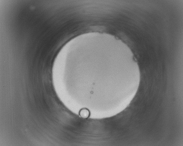 X0000081300146200702082053