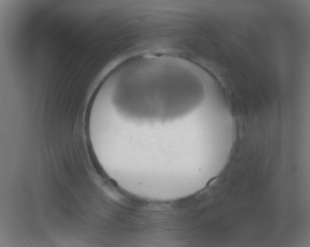 X0000081300147200702082053