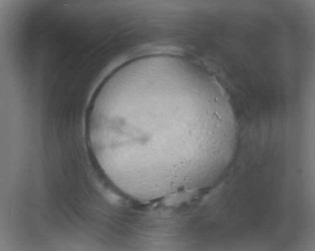 X0000081300148200702082053