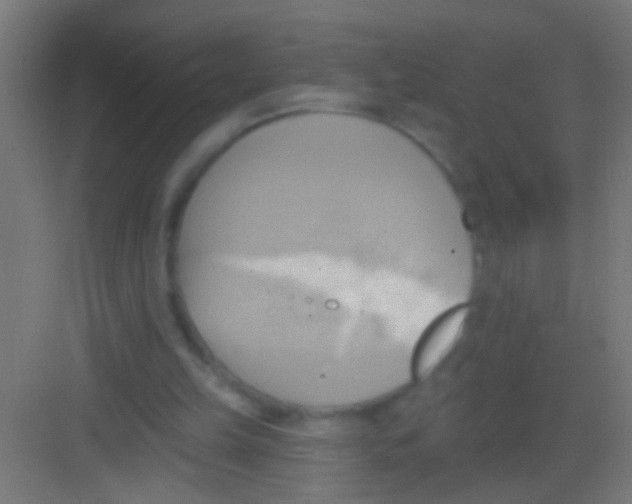 X0000081300149200702082053