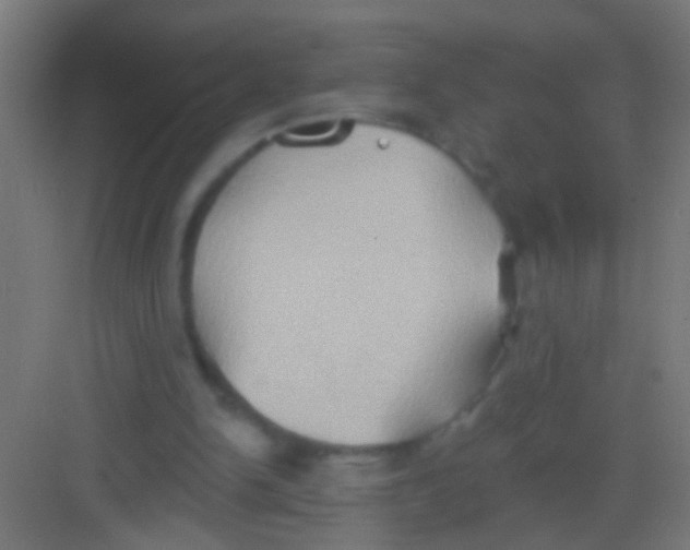 X0000081300150200702082053